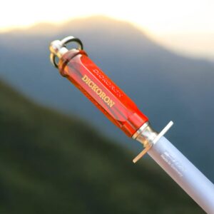 Fdick Dickoron oval-shaped sapphire cut